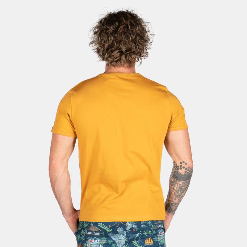 Men's Iconic Lion Matches New Design South Africa T-shirt With Crew Neck