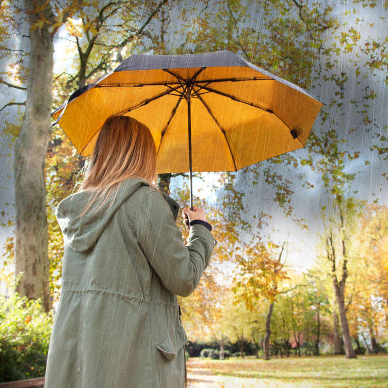 Black & Gold Umbrella
