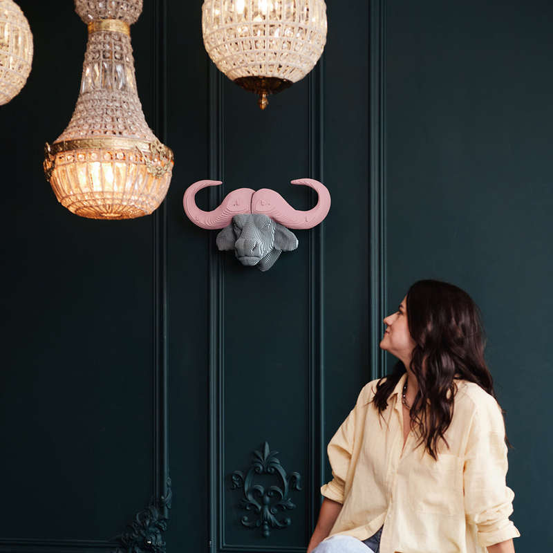 Cartonic Wall Buffalo