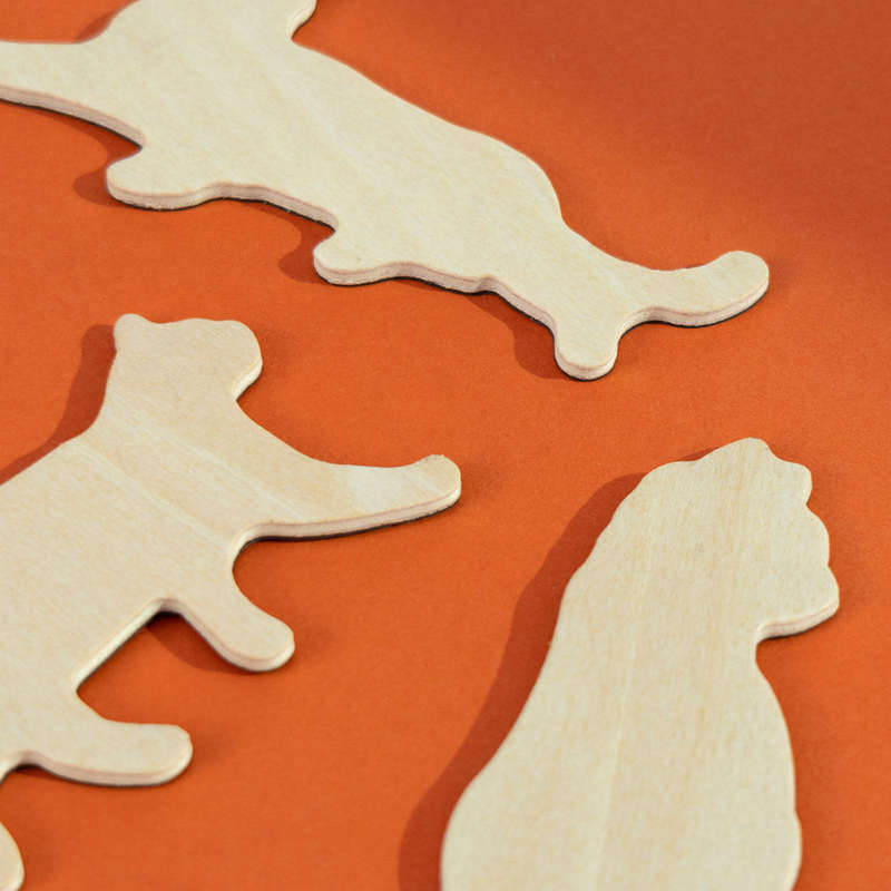 Cat Magnets