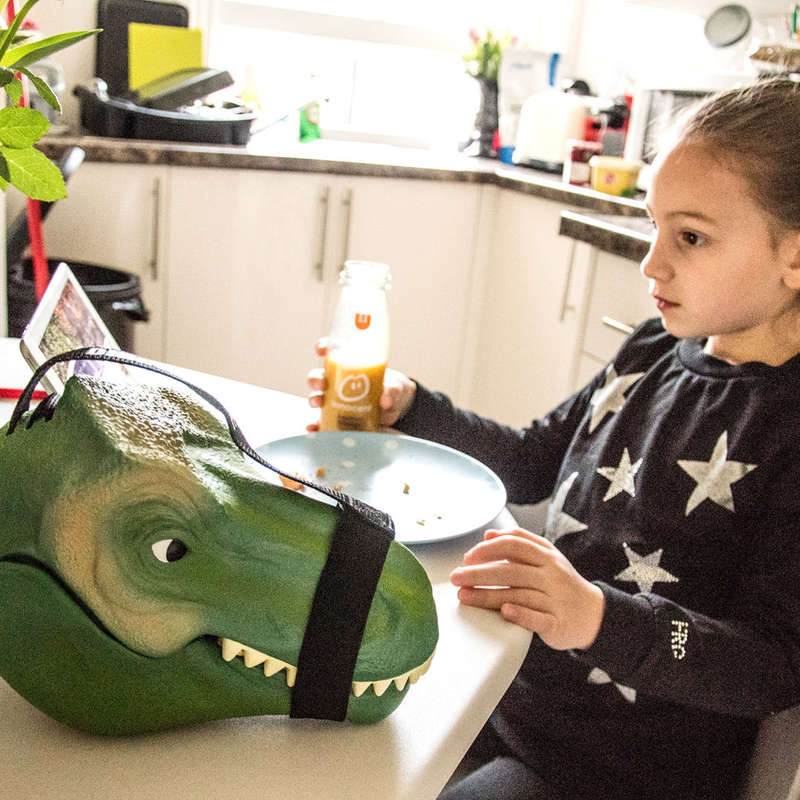 Dinosaur Lunch Box