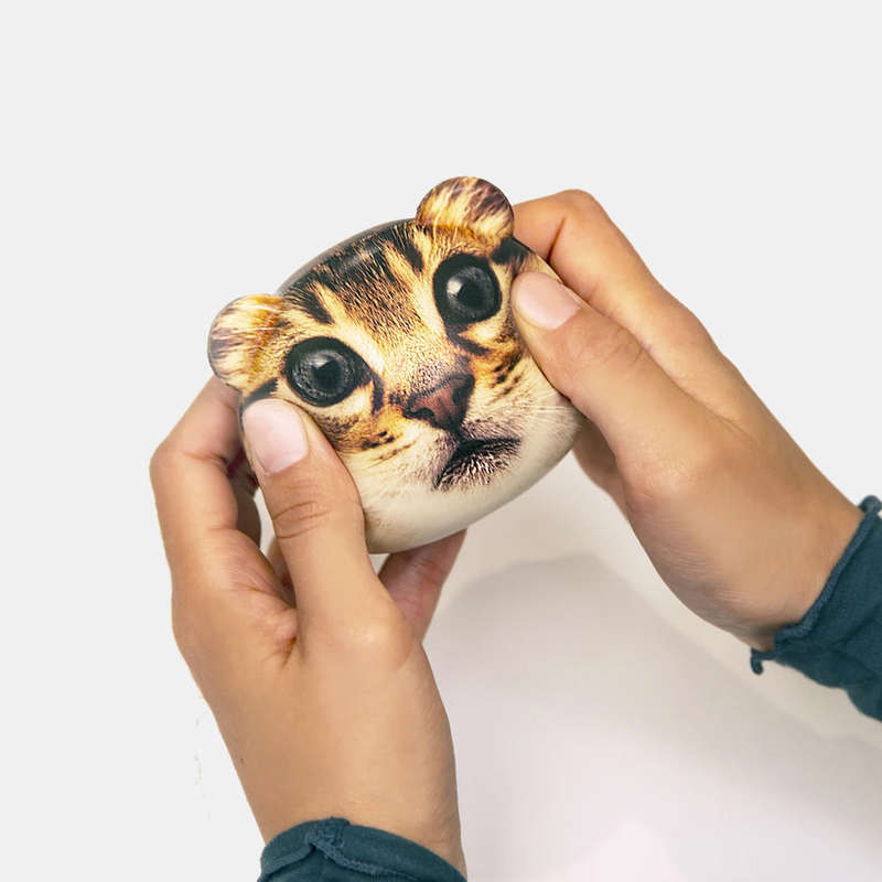 Feline Stress Balls To Squeeze Face Of Cat