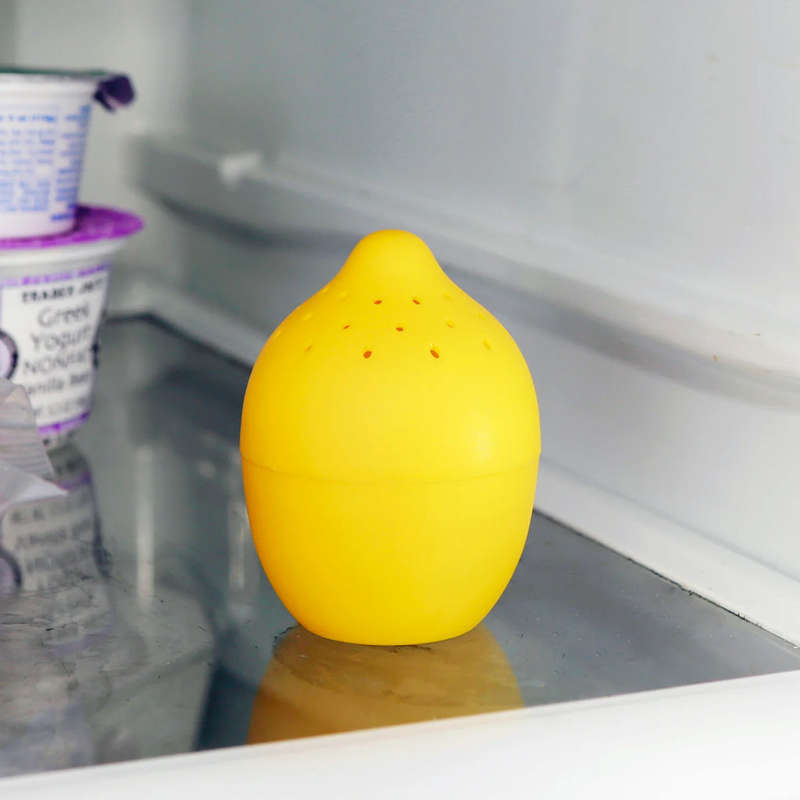 Fridge and Freezer Fresheners