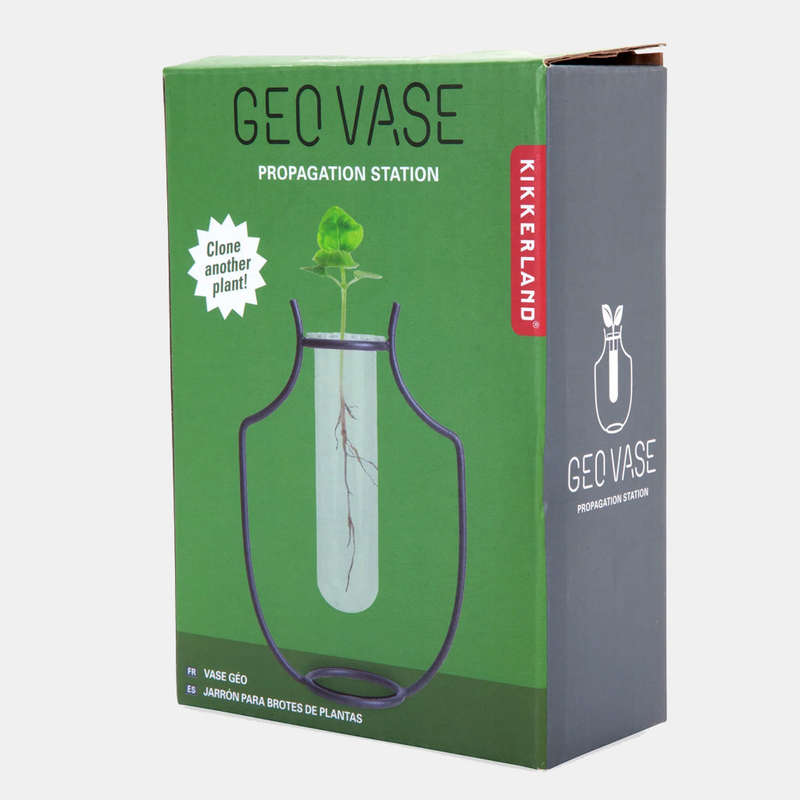 Geo Vase Propagation Station Small Plants In Water