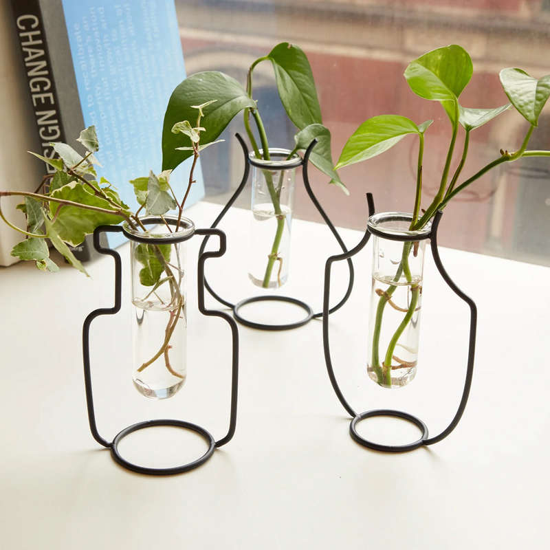 Geo Vase Propagation Station Small Plants In Water
