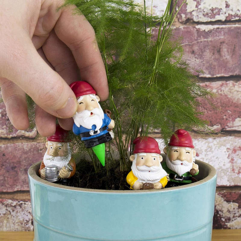 Mini Plant Gnomes