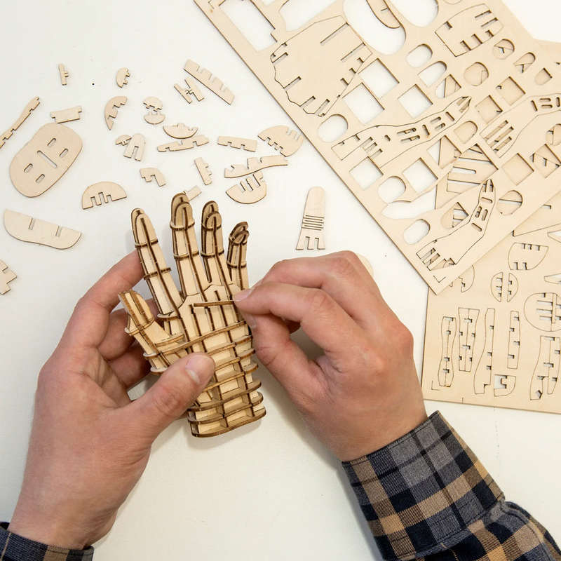 Hand 3D Wooden Puzzle Problem-Solving Abilities