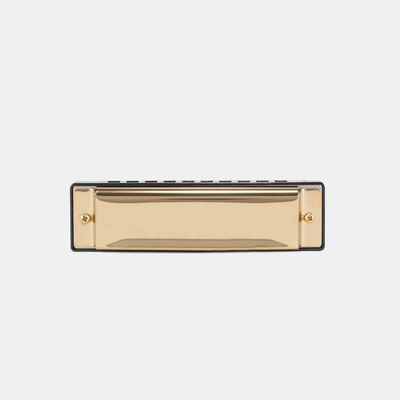 DIY Harmonica