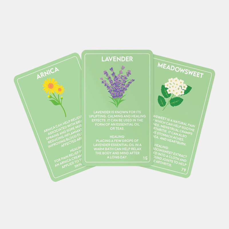 Healing Herb Cards