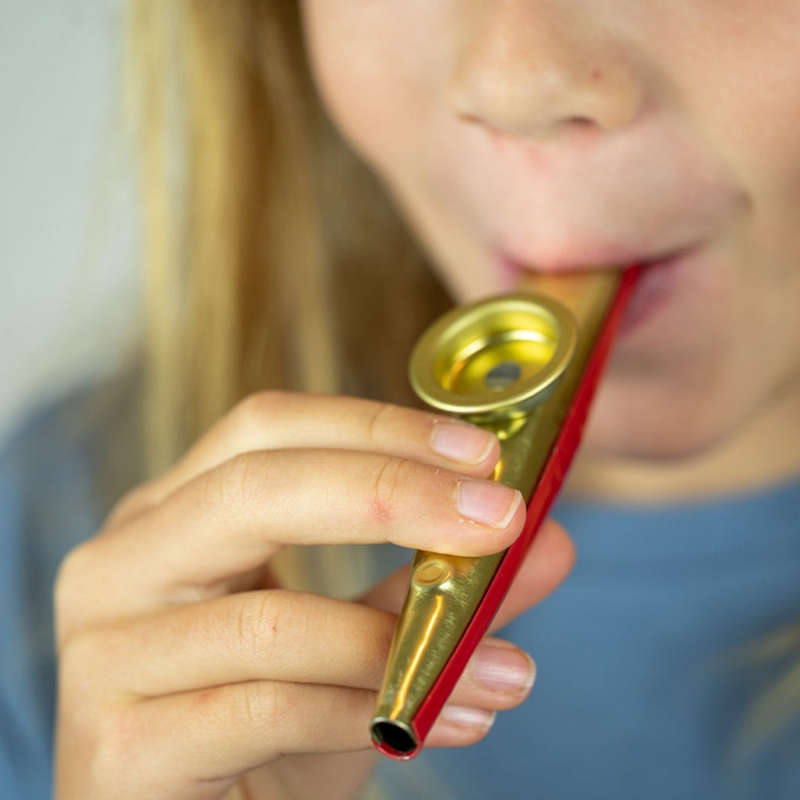 Real Tin Kazoo Music Instrument