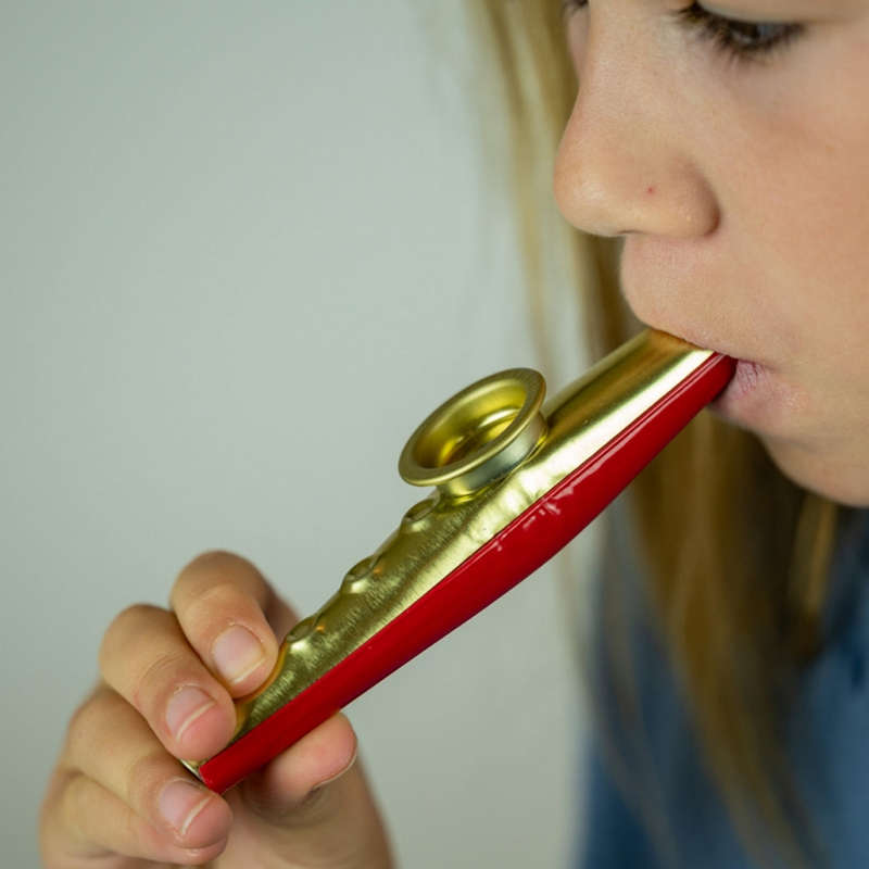 Real Tin Kazoo Music Instrument