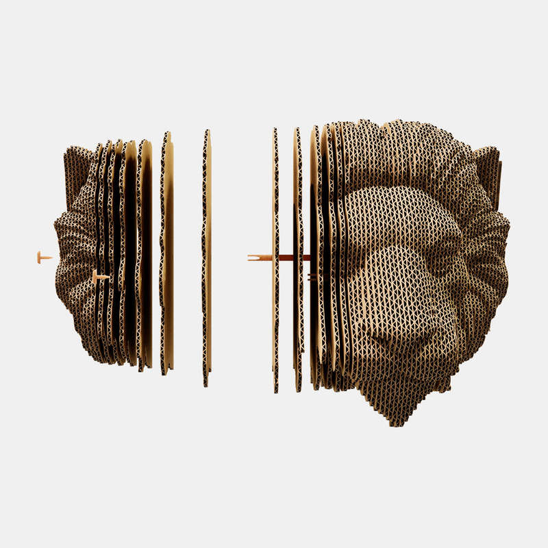 Cartonic Wall Lion