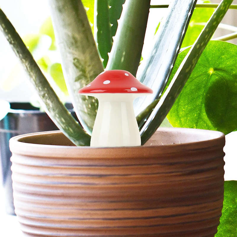 Self Watering Mushroom Planter