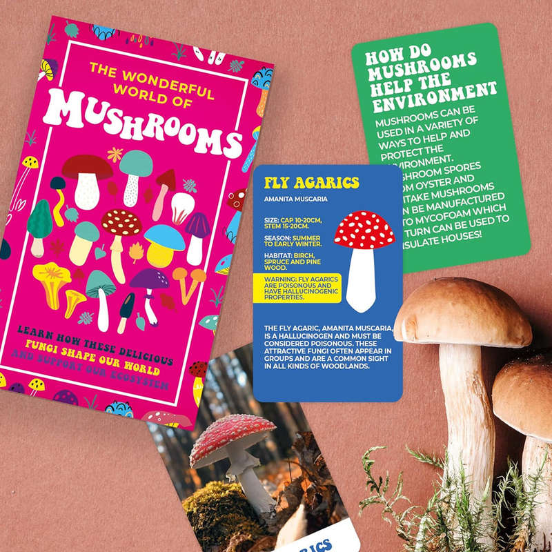 Wonderful World Of Mushrooms Card Pack