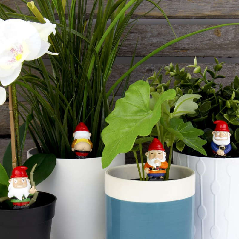 Mini Naughty Gnomes