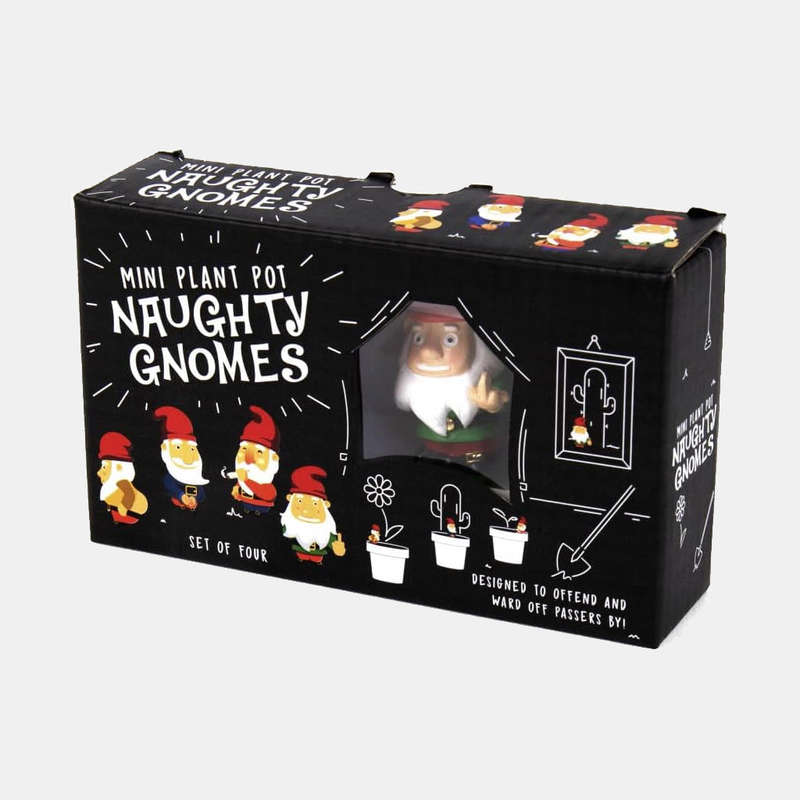 Mini Naughty Gnomes