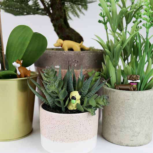 Mini Plant Dogs