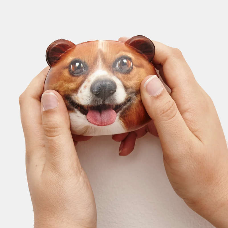 Feeling Ruff Stress Balls Fun To Squeeze
