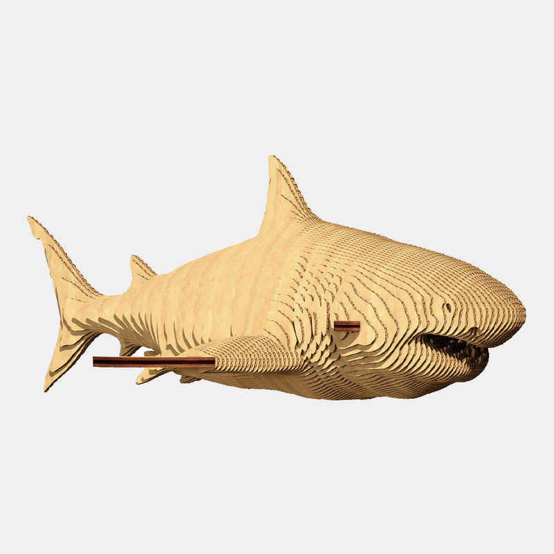 Cartonic 3D Shark
