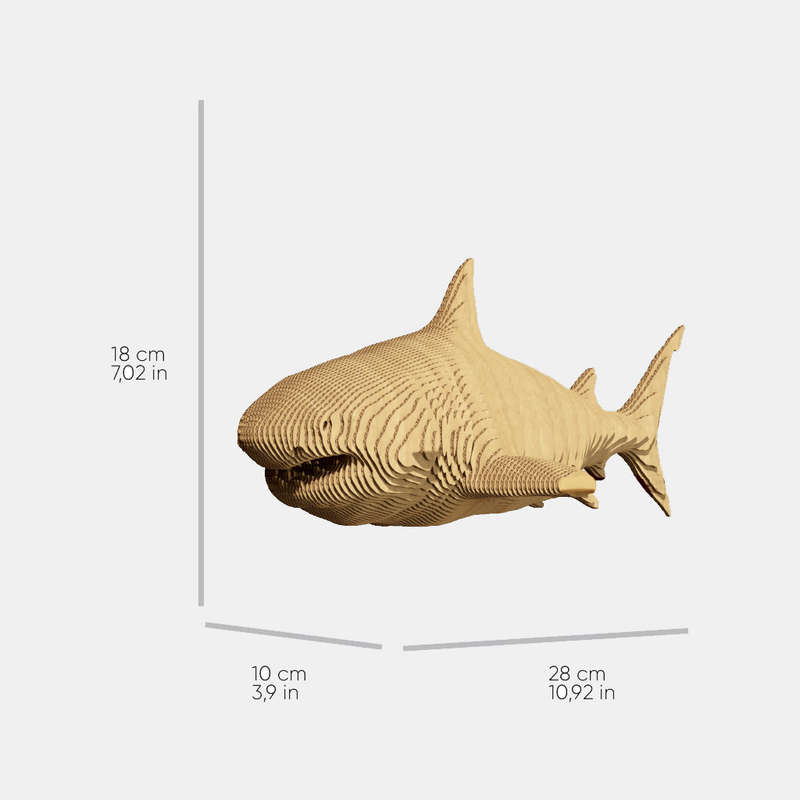 Cartonic 3D Shark