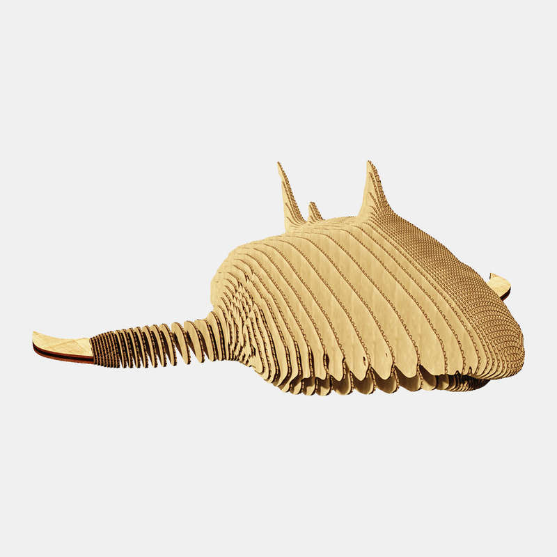 Cartonic 3D Shark
