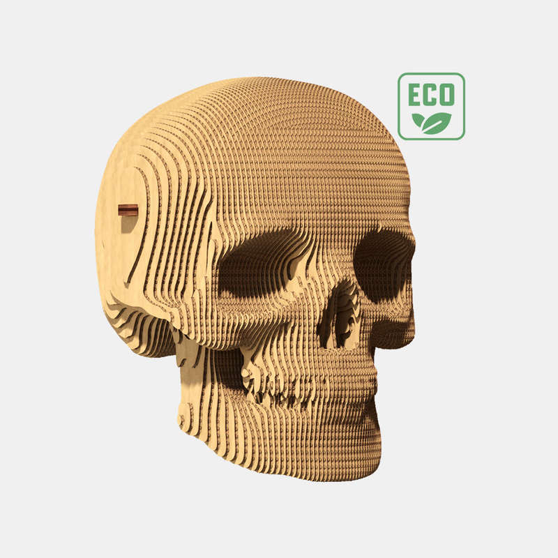 Cartonic 3D Skull