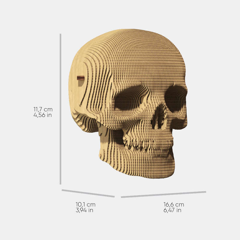 Cartonic 3D Skull