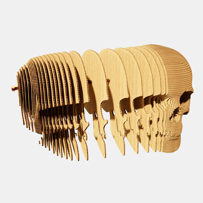 Cartonic 3D Skull