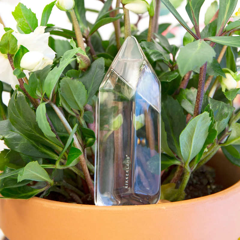 Water Froma Crystal Waters Your Plants Cork Stopper