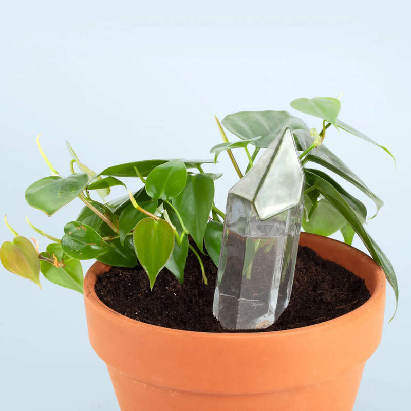 Water Froma Crystal Waters Your Plants Cork Stopper