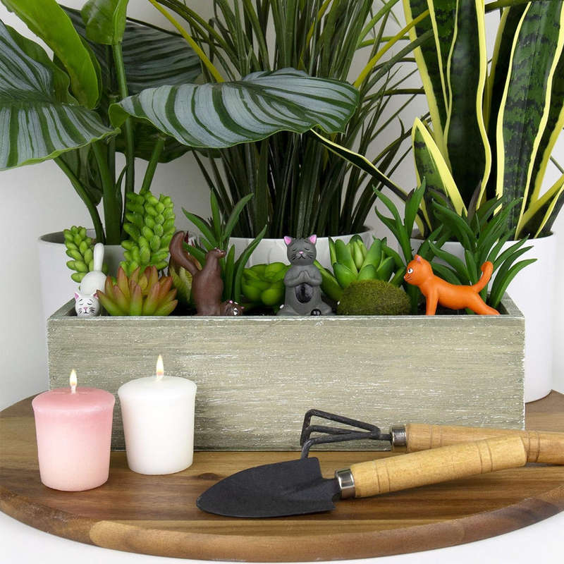 Mini Plant Yoga Cats