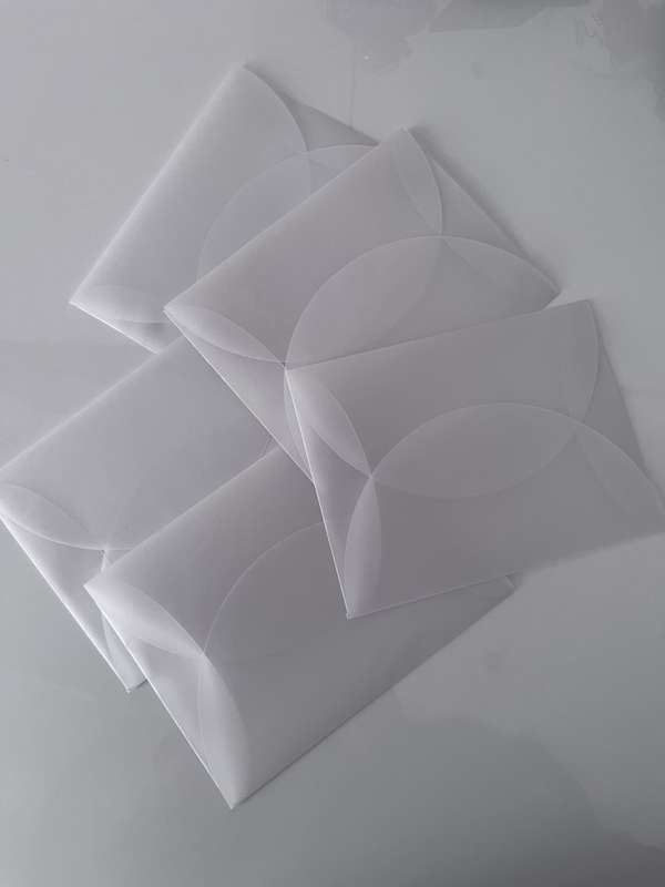 Vellum folds (10)