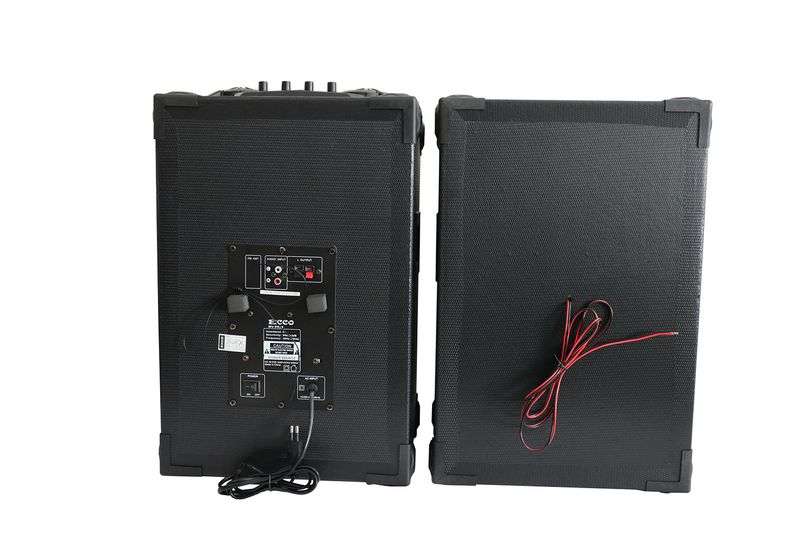 ECCO-MV-9938 Active Speaker System/USB/SD/FM/2xMicInput/8000W P.M.P.O-Black