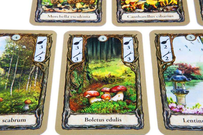 Fungi