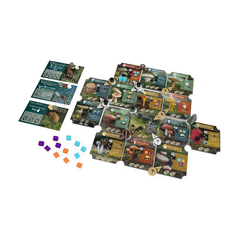 Undergrove