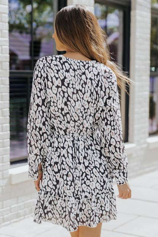 Black & White Leopard Print V-neck Long Sleeve A-Line Dress - L