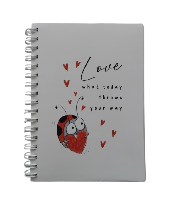 Love Bug Notebook (love what today throws at you) & Lip Balm & Red Fluffy Heart Pen