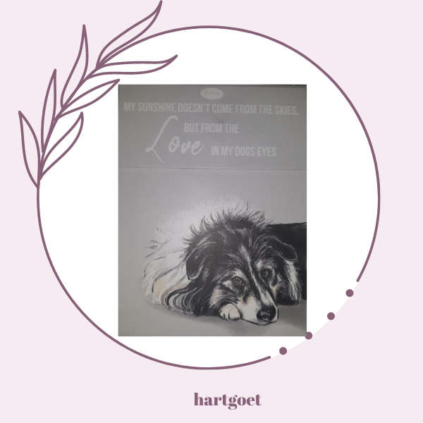 Paws for thought notepad - My sunshine doesn't come from the skies, but from the love in my dogs ...