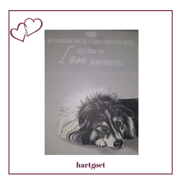 Paws for thought notepad - My sunshine doesn't come from the skies, but from the love in my dogs ...