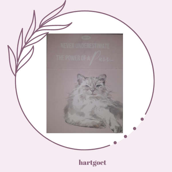 Paws for thought - never underestimate the power of a purr