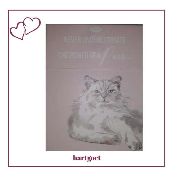Paws for thought - never underestimate the power of a purr