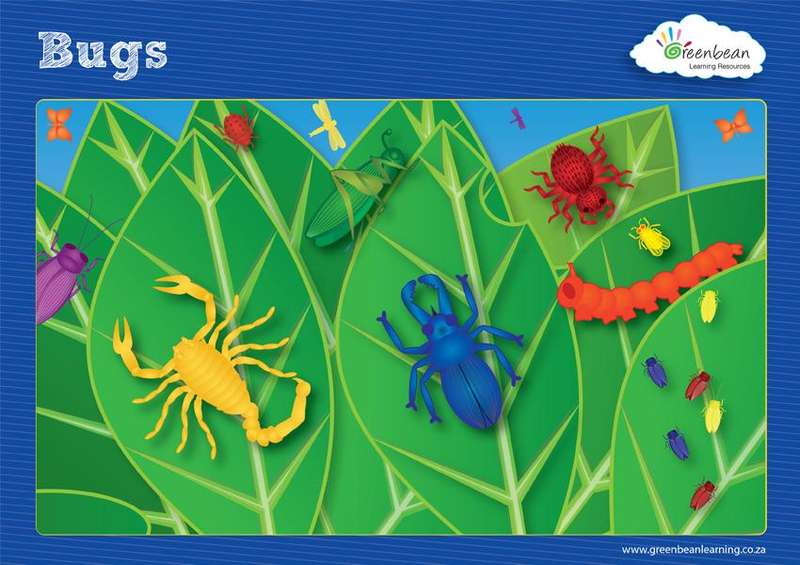 Bugs Counters & Activity Cards