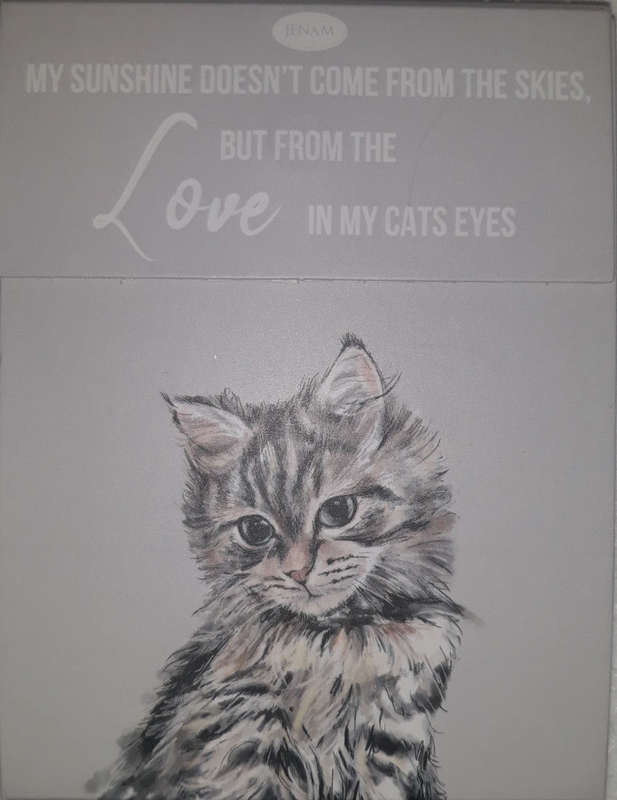 Paws for thought notepad - my sunshine doesn't come from the skies, but from the love in my cats ...