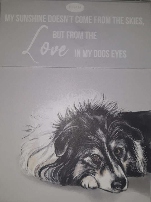 Paws for thought notepad - My sunshine doesn't come from the skies, but from the love in my dogs ...