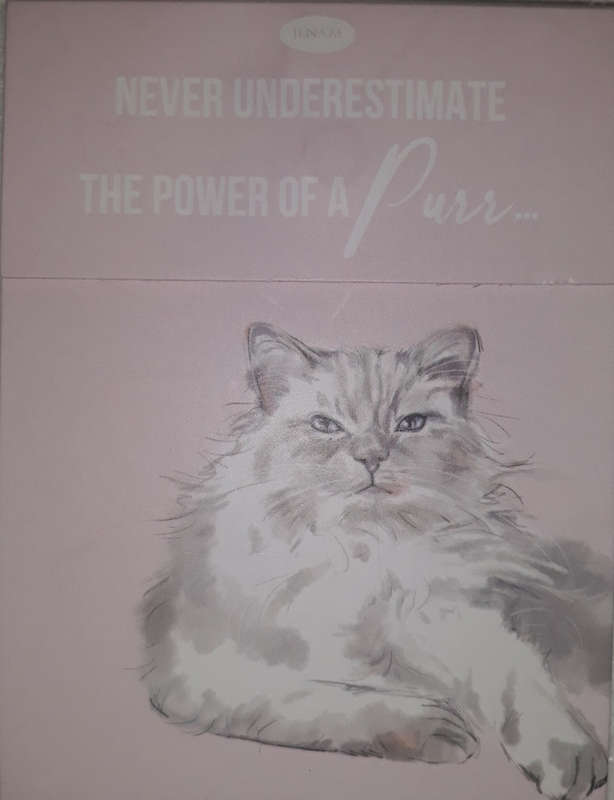 Paws for thought - never underestimate the power of a purr