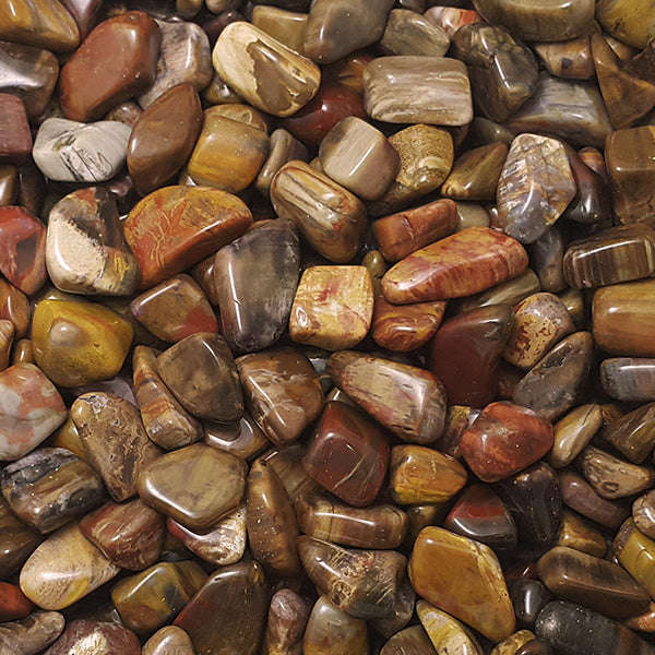 Petrified Wood - Arizona USA - Tumbled Stone