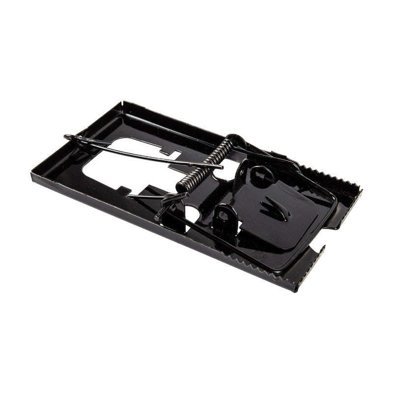 Mouse Trap