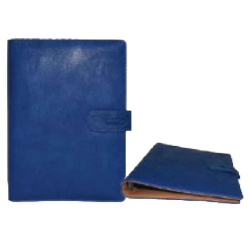 Blue Organiser Cover