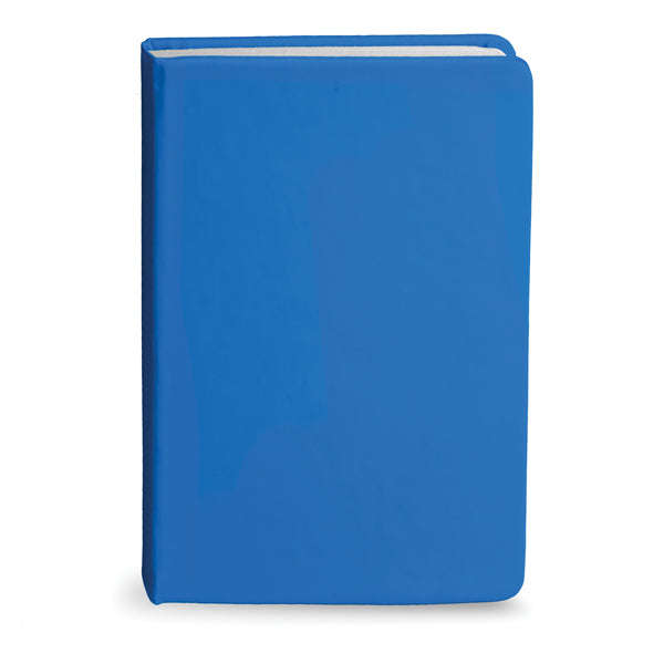 Bingham Notebook