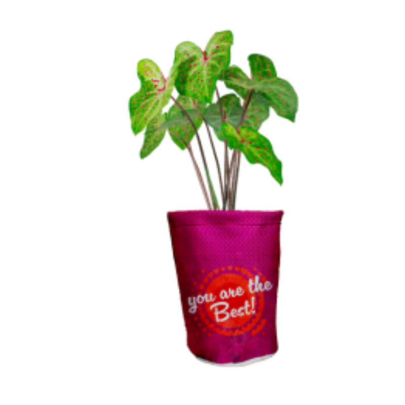 Hot Pockets Midi Canvas / Faux Leather Mix Pot Plant Holder